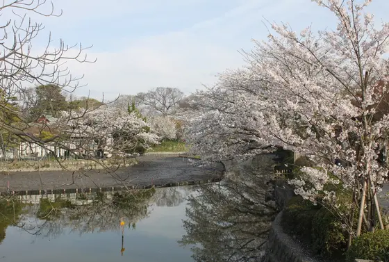源平池