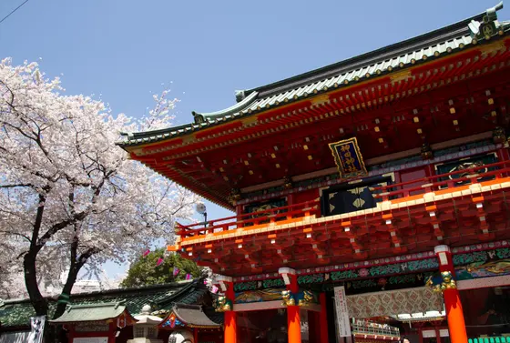 春には見事な桜