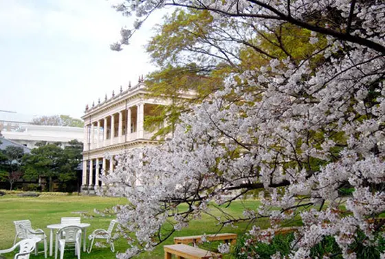 洋館と桜