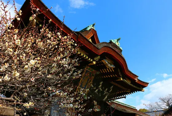 受験生ご用達「北野の天神さん」