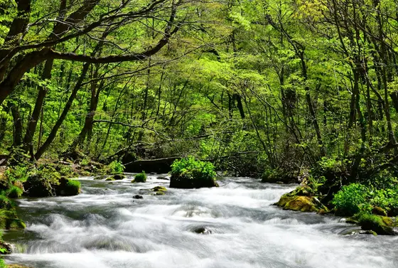 サクッと観光を楽しむなら車が便利