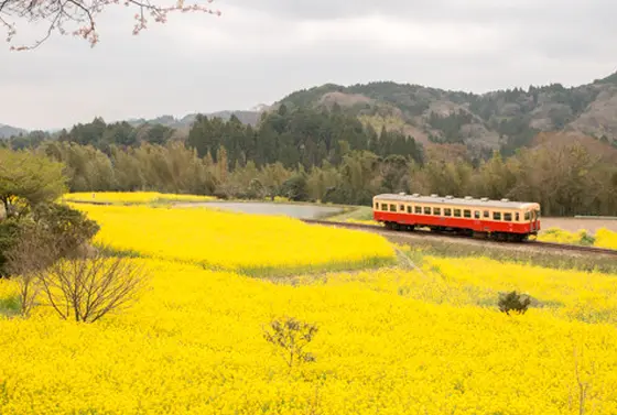 石神地区　小茶自動車