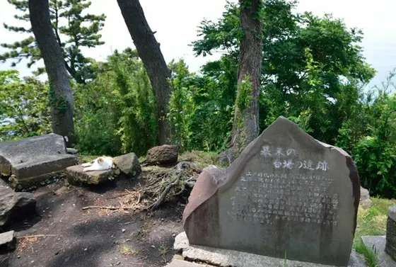 幕末の資料