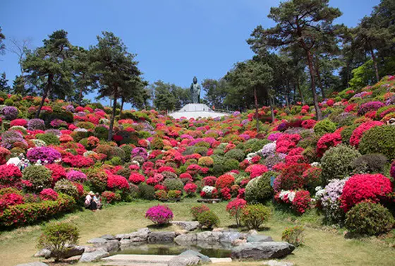 塩船観音寺について