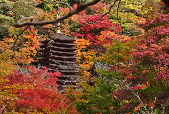 重要文化財・十三重の塔