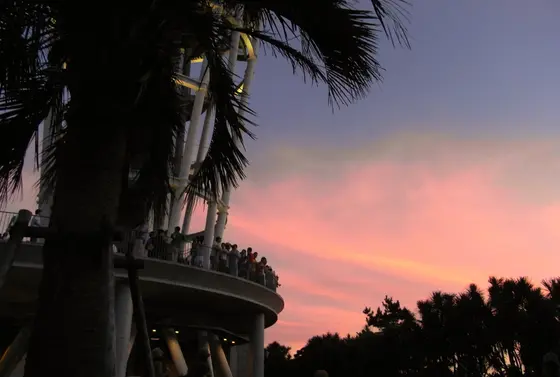 サムエル・コッキング苑