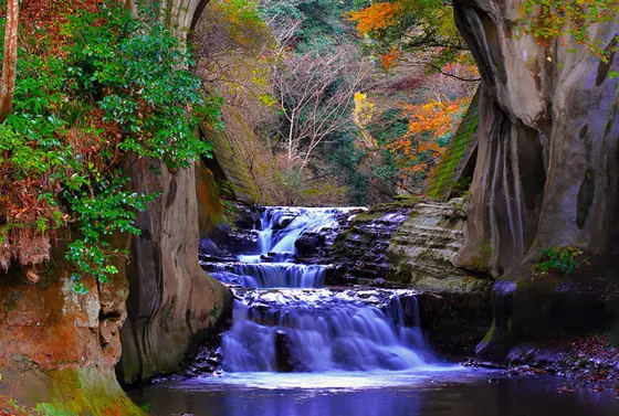 紅葉の滝