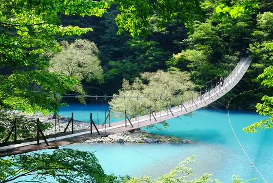 夏の夢の吊り橋