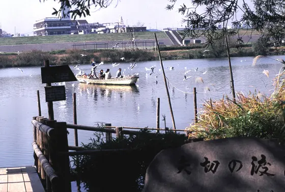 矢切の渡し－松戸側乗り場