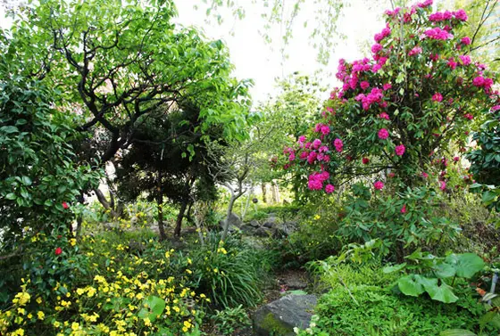 桜以外にも多くの花々が。