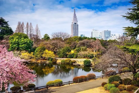 ①景色を眺める