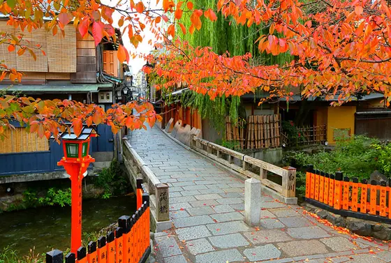 紅葉の季節