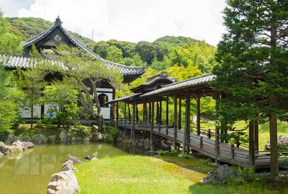 お茶会の後は庭園を堪能。