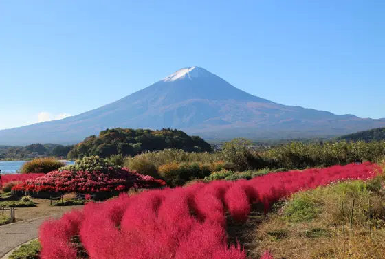 スポット内のおすすめ