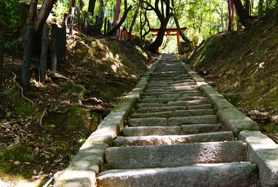 緑の豊かな吉田山