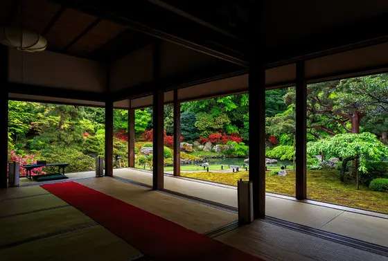 青蓮院門 庭園