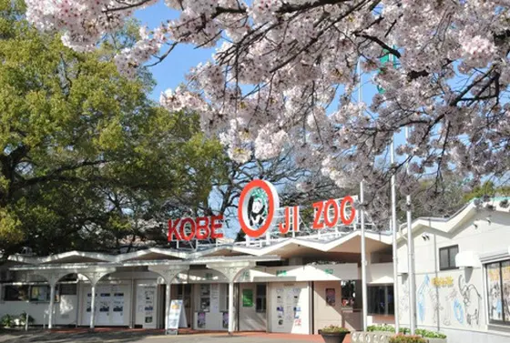 春の動物園はオススメ!