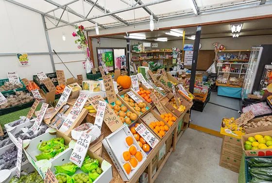 スポット内のおすすめ