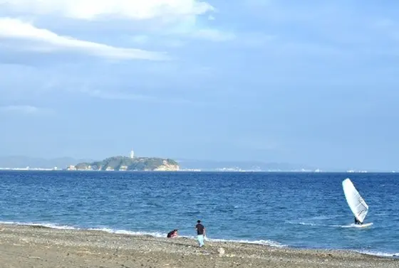 のどかな海岸