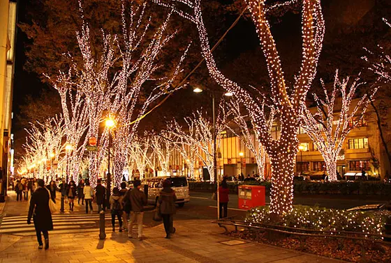 表参道夜の並木道 イルミネーション🌟
