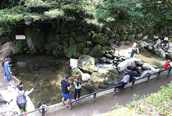 ヤマメを釣って食す！