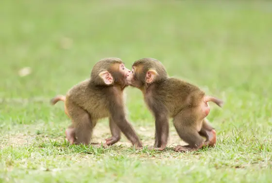 キスシーンまで(*´ω｀*)