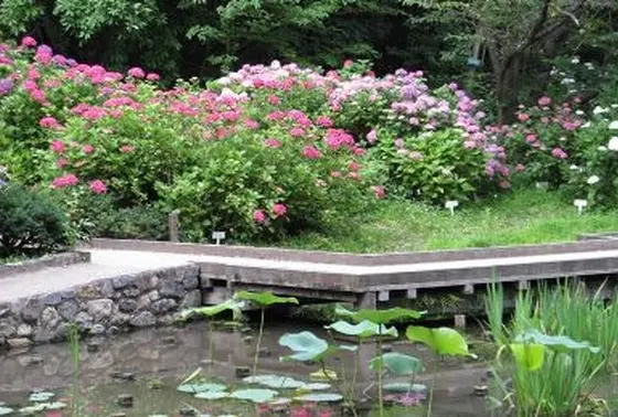 散策に ぴったり