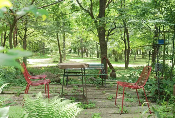 スポット内のおすすめ