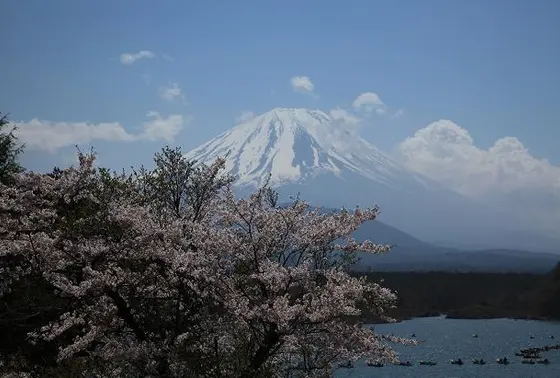 春