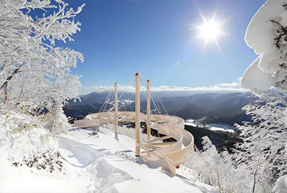 「霧氷クリスマス」概要
