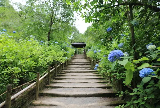 あじさい寺のそば。
