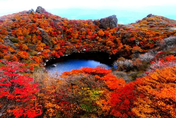 紅葉