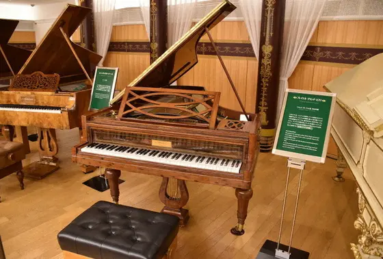 古典ピアノの演奏も