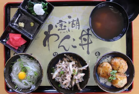 宝湖わんこ丼