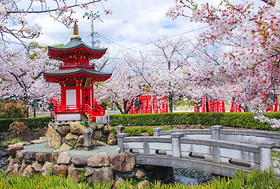 春の風景