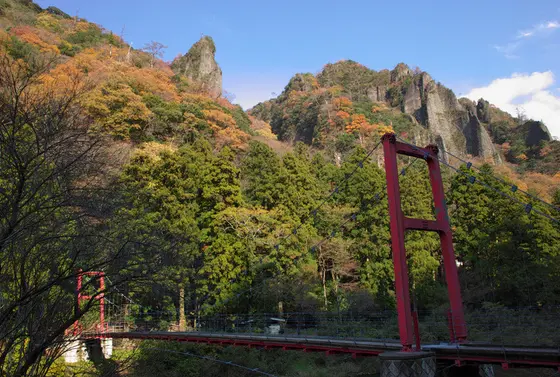 緑溢れる景観は散歩にぴったり。