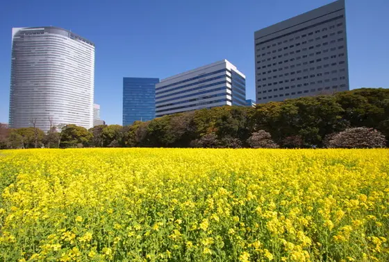 季節によって、さまざまな花が咲いています！