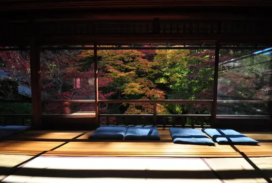 紅葉の「瑠璃の庭」