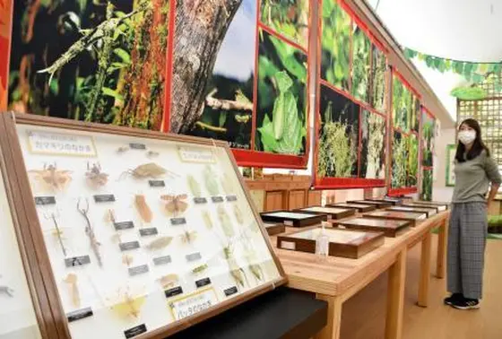 「氷上回廊水分れフィールドミュージアム」