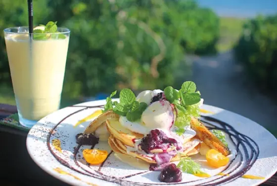 スポット内のおすすめ