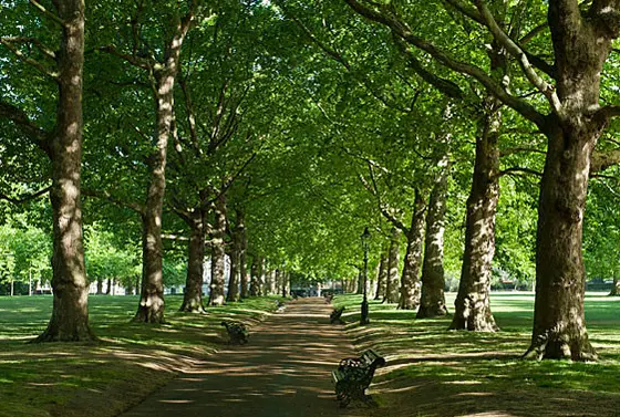 Green Park