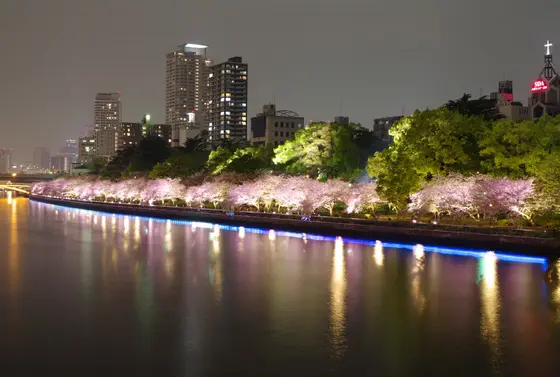 夜も素敵。