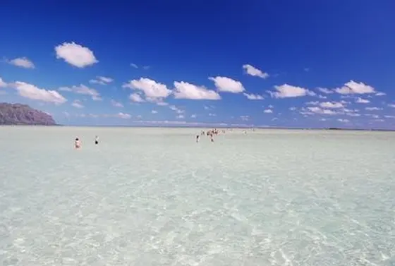 晴れていれば…