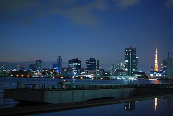 公園からみる夜景