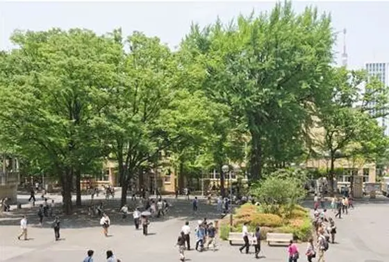  天気のいい日には散歩を！