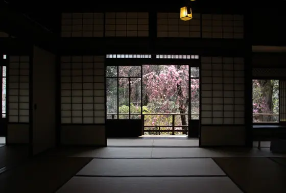 五節句行事や季節を活かしたイベント