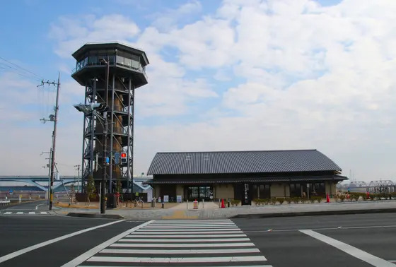 展望台から見下ろす桜も格別