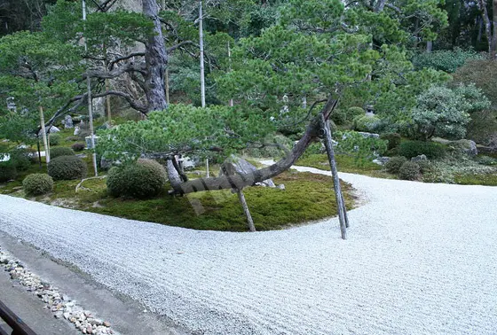 枯山水の庭園
