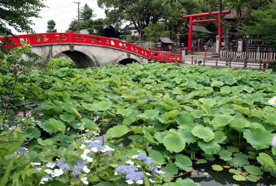 見所は三連アーチ橋
