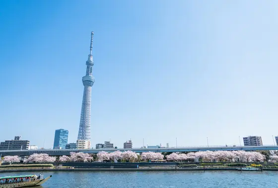 広々とした景色